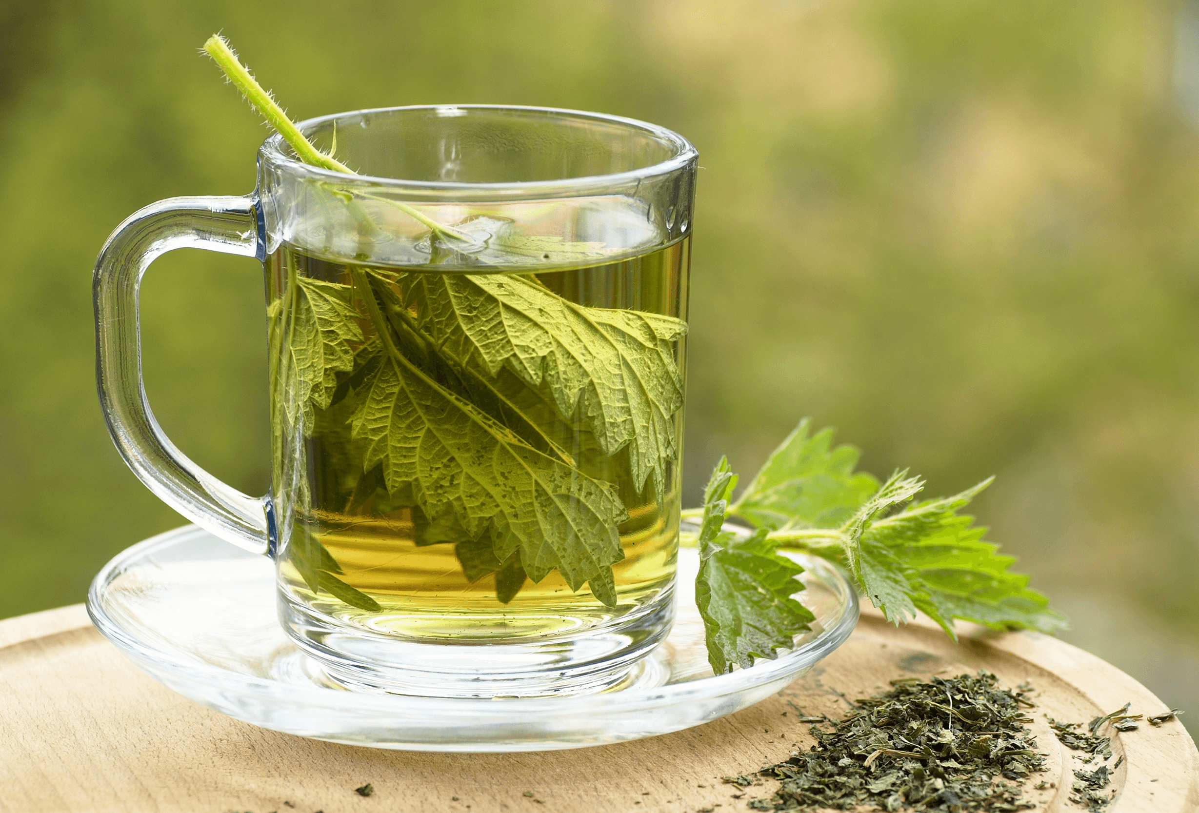 Nettle tea